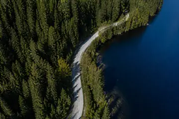 A pale gravel road curves through dark conifer forest along a deep blue lake, seen from straight above.