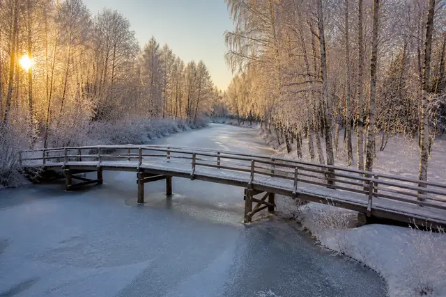 An old wooden footbridge crosses a frozen river between frosted birches in low morning light.
