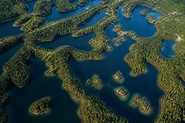 Looking straight down at a maze of blue lakes divided by narrow forested ridges and islands.