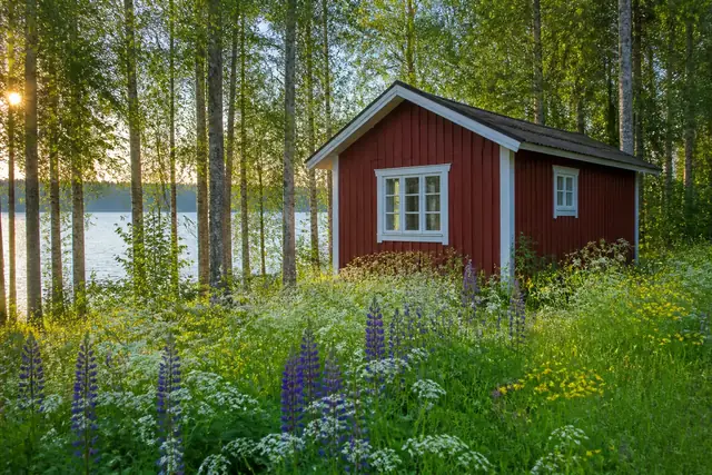 A red summer cottage with white trim stands among tall birches behind a meadow of wildflowers.