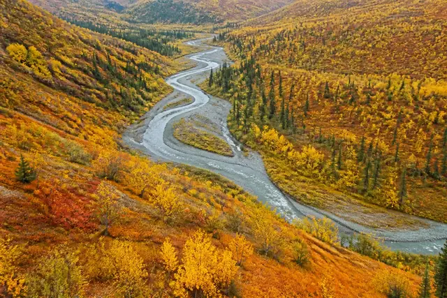 An aerial view of a valley in red, orange and gold autumn colour with a winding silvery river.